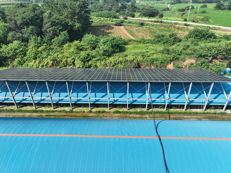 DJI_0100.JPG