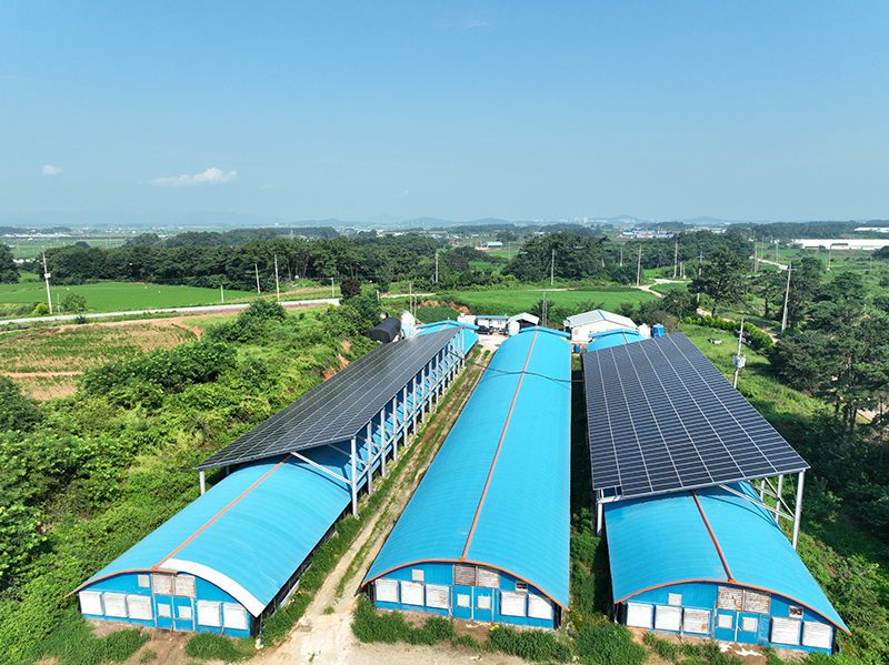 DJI_0106.JPG