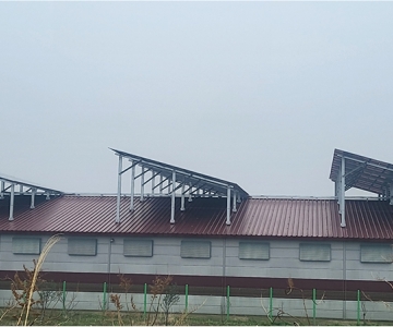 자연농장1호